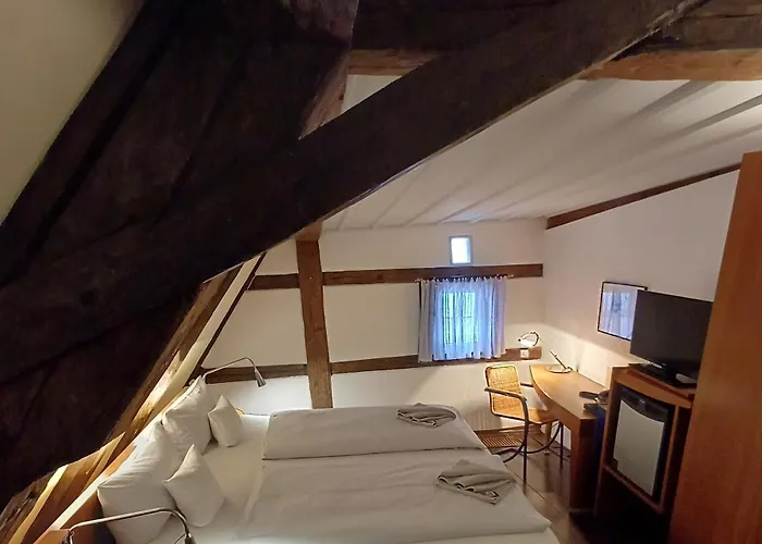 Otel Schiefes Haus Ulm